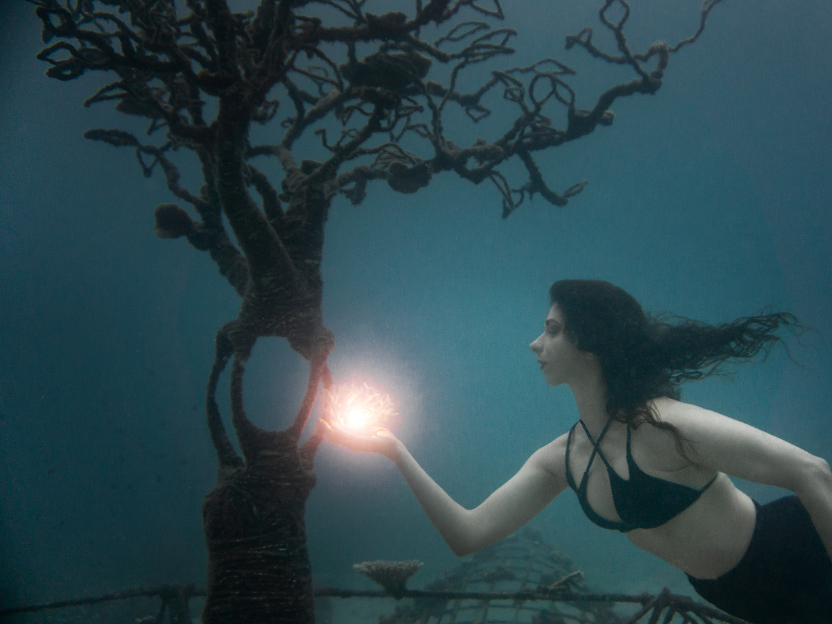 //www.theunderwaterwoman.com/wp-content/uploads/2019/07/tree_01.jpg